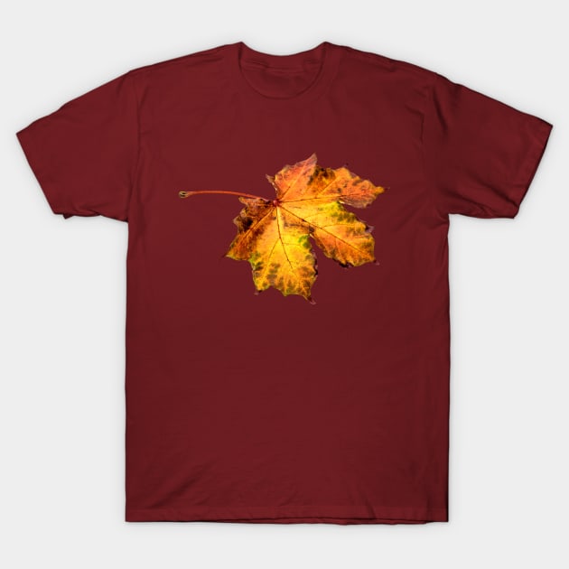 Autumn Leaves T-Shirt by Unique Treats Designs